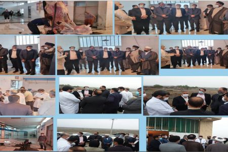 مهلت ۷۲ ساعته دادستانی برای رفع عیوب کشتارگاه جیرفت
