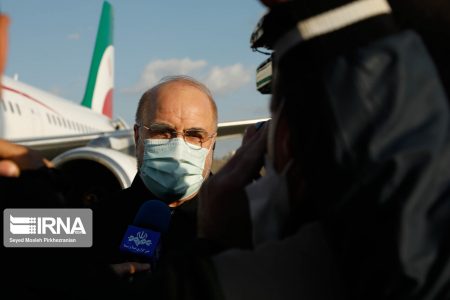 رییس مجلس وارد کرمان شد