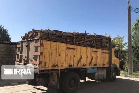 تریلر حامل ۲۴ تن چوب فاقد مجوز در رودبارجنوب متوقف شد