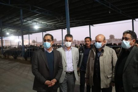 معاون وزیر جهادکشاورزی: جنوب کرمان ظرفیت صادرات تولیدات دامی را به کشورهای حاشیه خلیج فارس دارد