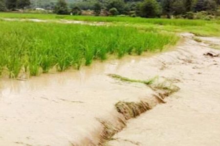 سیل و طوفان چهار هزار و ۴۹۵ میلیارد تومان به استان کرمان خسارت وارد کرد