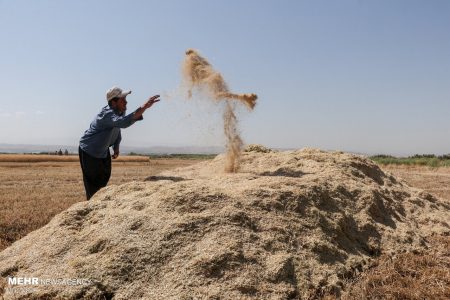 ماجرای عجیب یک روستا در نزدیکی کرمان/ ۴۰ سال تلاش به باد می‌رود