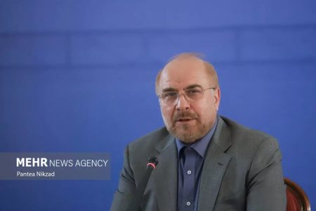 رئیس مجلس وارد فرودگاه کرمان شد