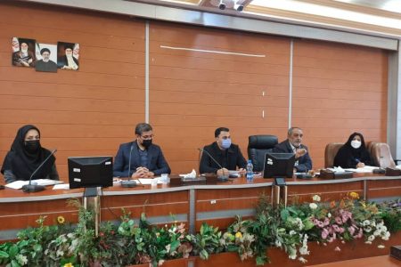 اشتغال اولویت اصلی شهرستان رفسنجان/ دستگاههای اجرایی بروکراسی اداری را کاهش دهند