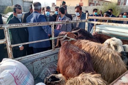 ۲۰۰ رأس دام بین خسارت‌دیدگان سیل منوجان توزیع شد