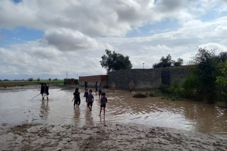 باز باران …