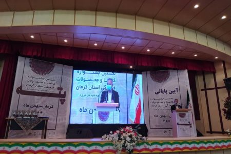 تقویت پشتیبان‌های مشاغل خانگی، تقویت اشتغالزایی است