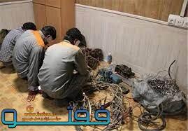 دستگیری ۴۴ سارق سیم برق در کرمان