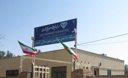 واکسیناسیون بیش از ۷هزار رأس دام سبک بر علیه بیماری تب مالت در شهرستان انار