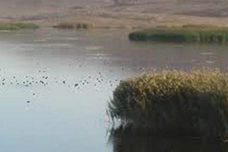 تالاب جازموریان ۱۲۰۰ کیلومتر مربع آب دارد/پیگیری ثبت تالاب در کنوانسیون رامسر