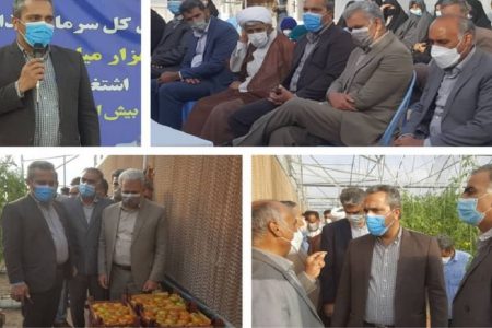 ایجاد اشتغال موثراولویت دولت باشد