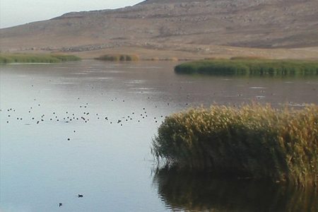 تالاب جازموریان در کنوانسیون رامسر ثبت می‌شود