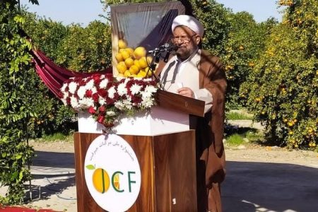 سومین جشنواره ملی مرکبات جیرفت برگزار شد