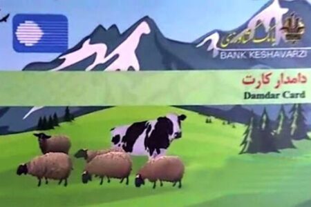 ۲۶۳ میلیارد ریال تسهیلات دامدار کارت در کرمان پرداخت شد