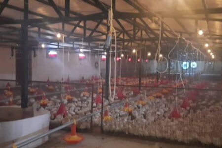 ۲ واحد تولیدی در زادگاه سردار دل‌ها افتتاح شد