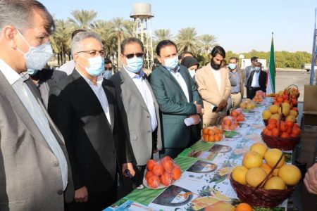 سومین جشنواره ملی مرکبات جیرفت برگزار شد