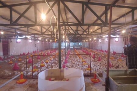 از افتتاح واحدهای پرورش طیور تا قول رفع مشکل حوزه استحفاظی هنزا