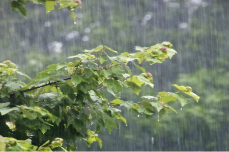 بارش بارن و برف در استان کرمان