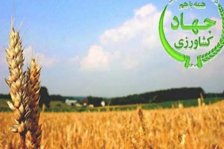بهره برداری۱۱۵ طرح کشاورزی و دامپروری استان کرمان در ایام الله دهه فجر