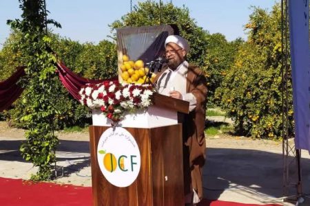 دهه فجر فرصت مناسبی برای جهاد تبیین حقایق