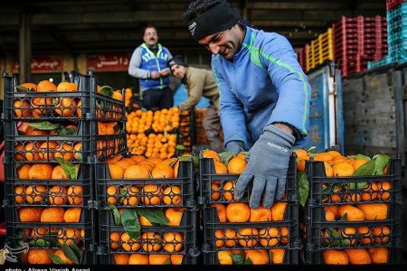 ۲۲۷۰ تن سیب و پرتقال در کرمان ذخیره‌سازی می‌شود