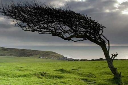 تداوم وزش باد شدید و خیزش گرد و خاک در کرمان