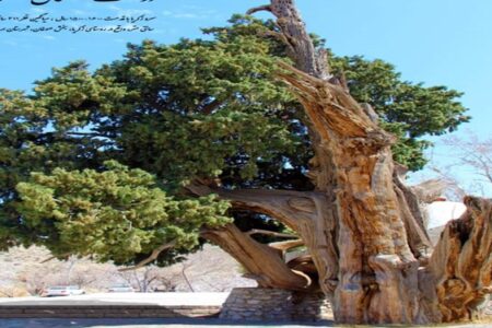 هزارمین اثر میراث طبیعی کشور در کرمان به ثبت رسید