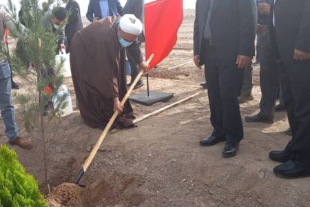 احداث بزرگترین «پارک جنگلی» ۱۲ هکتاری رفسنجان در محور سرچشمه