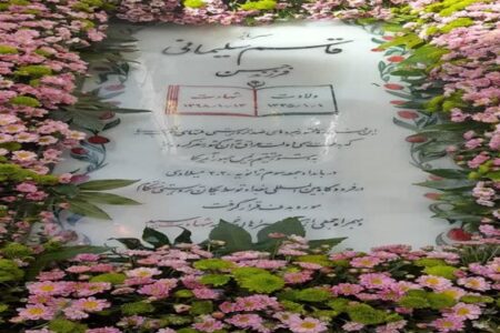 تولد «سردار دل‌ها»,در گلزار شهدای کرمان+فیلم