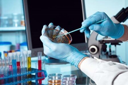 مجلس اعتبارات حمایتی خوبی برای شرکت‌های دانش بنیان مصوب کرده است