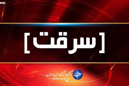 دستگیری ۸ عضو باند سرقت قطعات خودرو در سیرجان