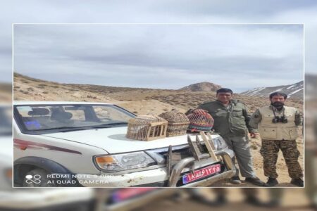 دستگیری متخلفان زنده گیری پرندگان وحشی در رابر