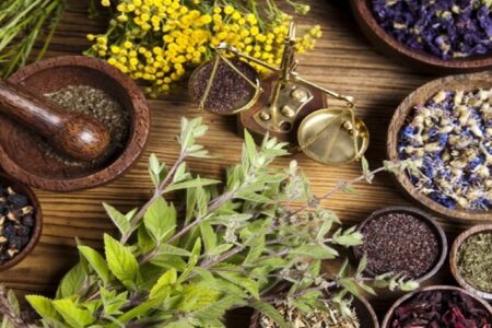 آغاز برداشت گیاهان دارویی در جنوب کرمان