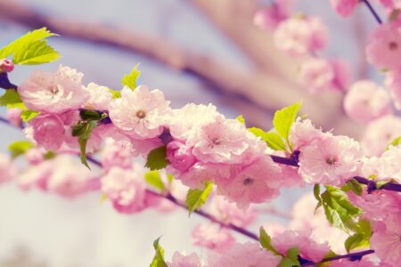 استاندار آغاز قرن جدید را به کرمانی ها تبریک گفت