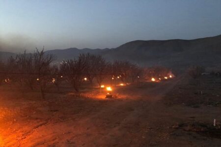 ایجاد آتش و دود برای جلوگیری از سرمازدگی محصولات کشاورزی