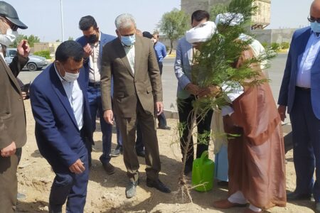 بزرگترین پارک جنگلی شرق کرمان آماده بهره‌برداری شد