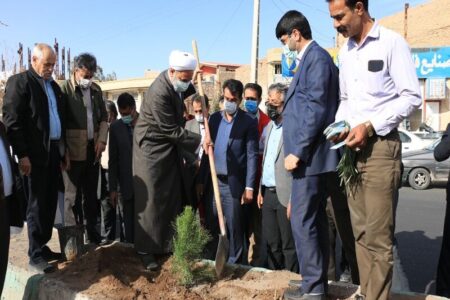 ۹۰ هزار نهال تاغ در رفسنجان کاشته می‌شود