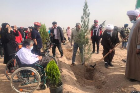 طرح ۱۲۰ هکتار جنگل‌کاری در رفسنجان به مرحله اجرا در آمد