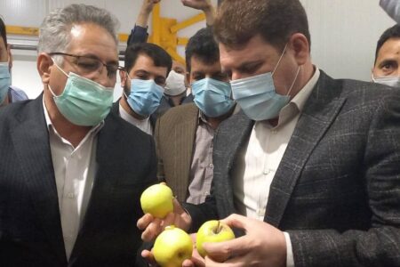 آغاز توزیع میوه شب عید در کرمان/ استاندار: کمبود نداریم و قیمت‌ بالا نمی‌رود