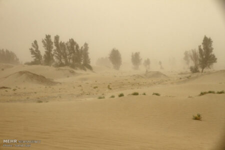 کرمان به کانون ریزگردها تبدیل شده است/ سکوت ادامه دار مسئولان