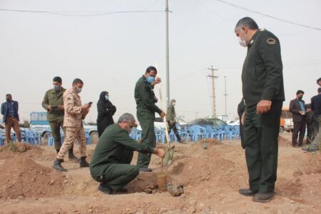 به نیت شهدای  این شهرستان غرس شد