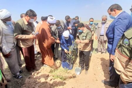  آئین گرامیداشت روز درختکاری در شهرستان کهنوج برگزار شد