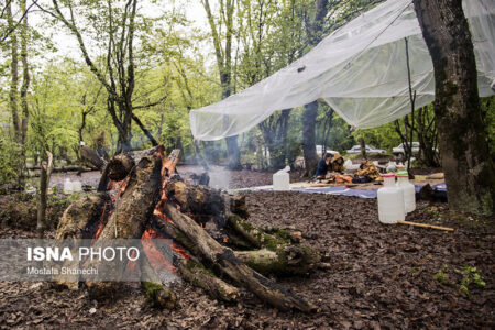 فعالیت ۲۶ اکیپ حفاظت منابع طبیعی جنوب کرمان در روز طبیعت