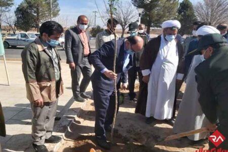 کاشت 5هزار اصله نهال در شهرستان اناردر روز درختکاری