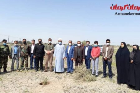 ۲۰۰ اصله نهال در عنبرآباد غرش شد