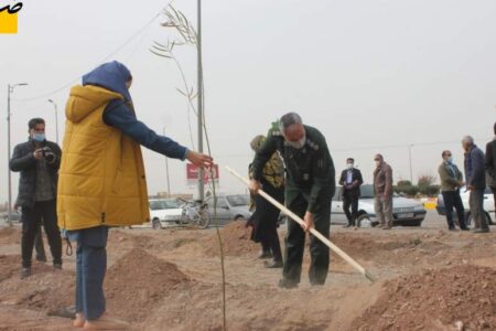 غرس بیش از 300 اصله درخت به نام و یاد شهداء شهرستان زرند