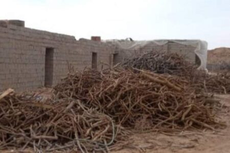 متوقف شدن فعالیت یک واحد کوره تهیه زغال در راور