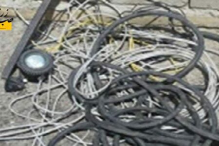کابل دزدی در زرند سارق را به کام مرگ کشاند