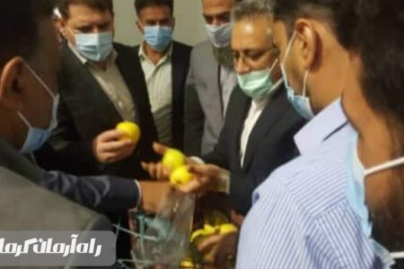 بررسی احداث پل سوم رود هلیل در جیرفت/ نظارت بر ذخیره و توزیع میوه شب عید