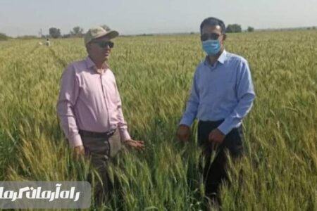 افزایش ضریب خود اتکایی، پایداری تولید و تأمین امنیت غذایی در جنوب کرمان